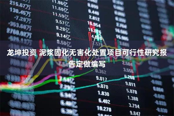 龙坤投资 泥浆固化无害化处置项目可行性研究报告定做编写