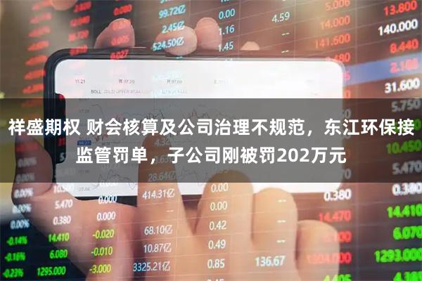 祥盛期权 财会核算及公司治理不规范，东江环保接监管罚单，子公司刚被罚202万元
