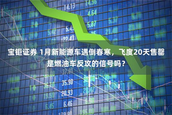 宝钜证券 1月新能源车遇倒春寒，飞度20天售罄是燃油车反攻的信号吗？