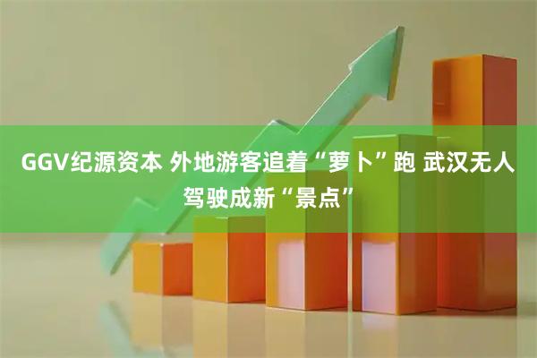 GGV纪源资本 外地游客追着“萝卜”跑 武汉无人驾驶成新“景点”