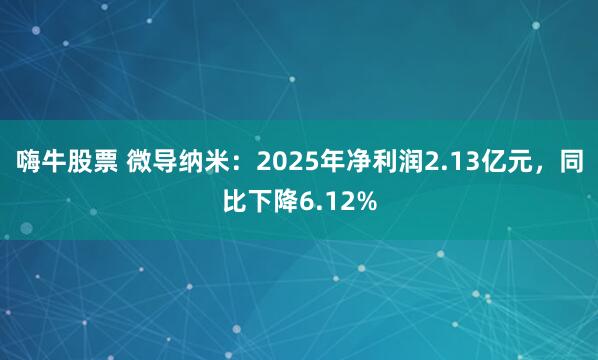 嗨牛股票 微导纳米：2025年净利润2.13亿元，同比下降6.12%